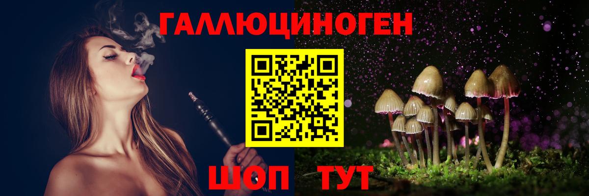Псилоцибиновые грибы Psilocybine cubensis Абакан