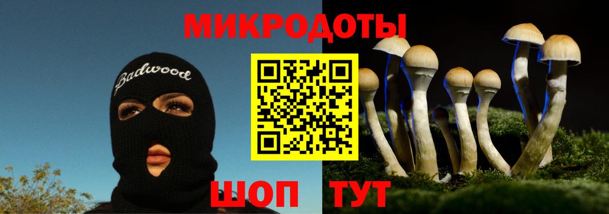 Абакан  Псилоцибиновые грибы GOLDEN TEACHER  Вход с VPN 